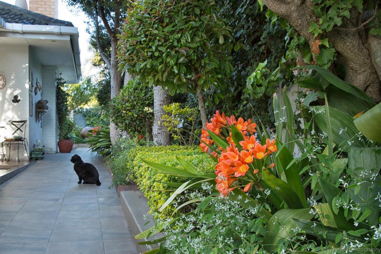 Carslogie House Bed & Breakfast Port Elizabeth Luaran gambar